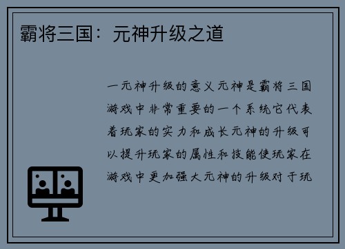 霸将三国：元神升级之道